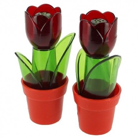 Duo salières tulipe